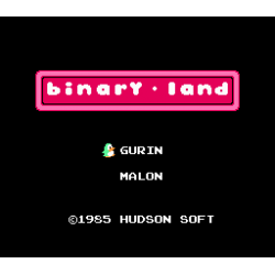 Binary Land