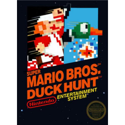 Super Mario Bros. + Duck Hunt