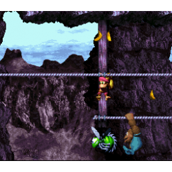 Donkey Kong Country 3 - Dixie Kong's Double Trouble